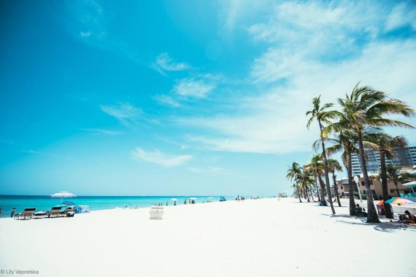 Cozy In Charming Dania * Dania Beach